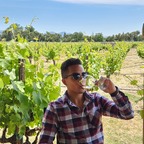 William avatar