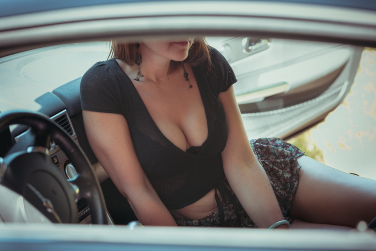 Wild Honey cover image
