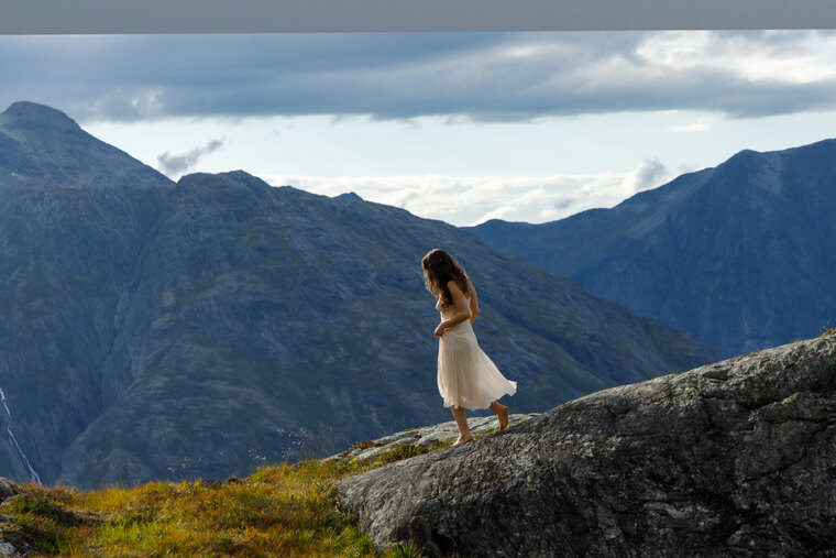 wildblume cover image