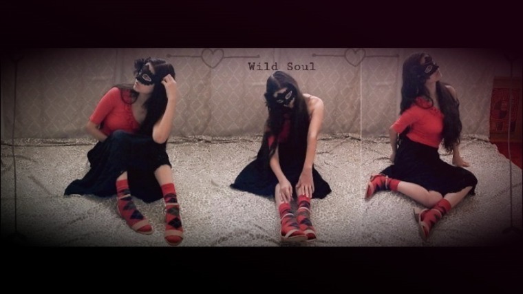 Wild Soul banner image
