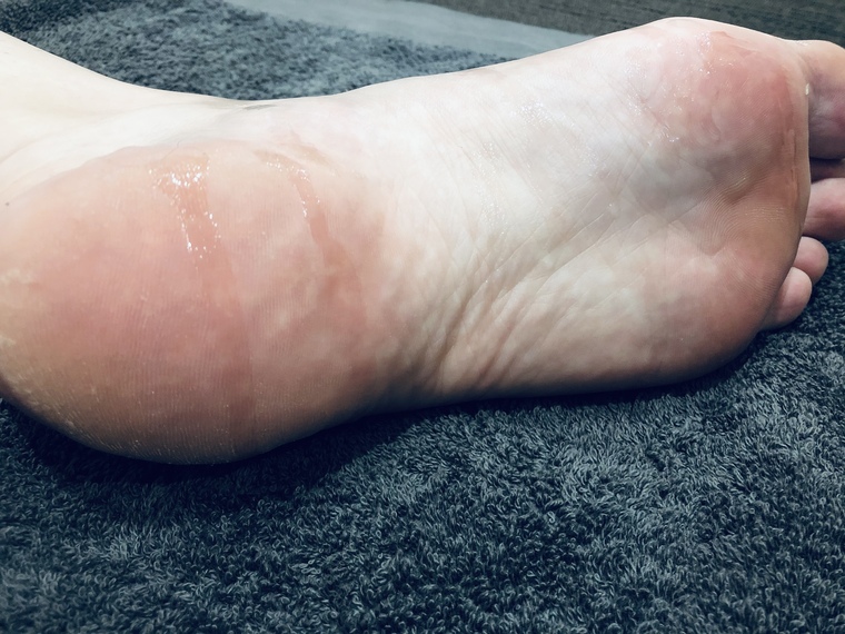 Wild_feeet banner image