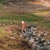 Wild Outdoors avatar
