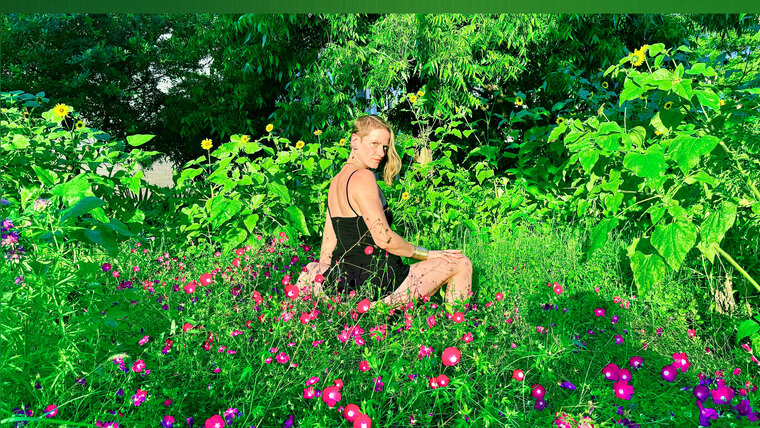 Wild Violet banner image