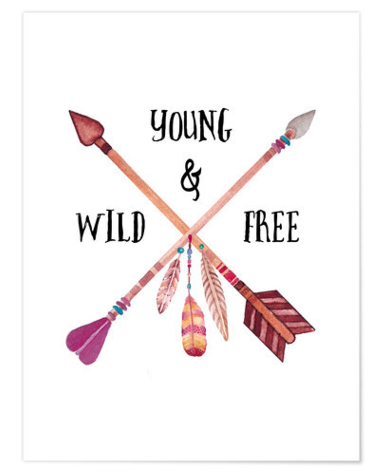 WildBibi banner image