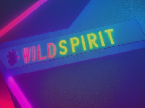 WïLD SpîRïT cover image