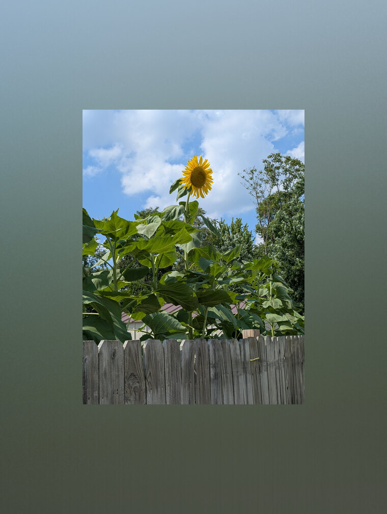 Christine Smith cover image