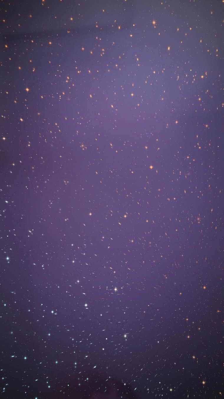 Wilder Thing banner image