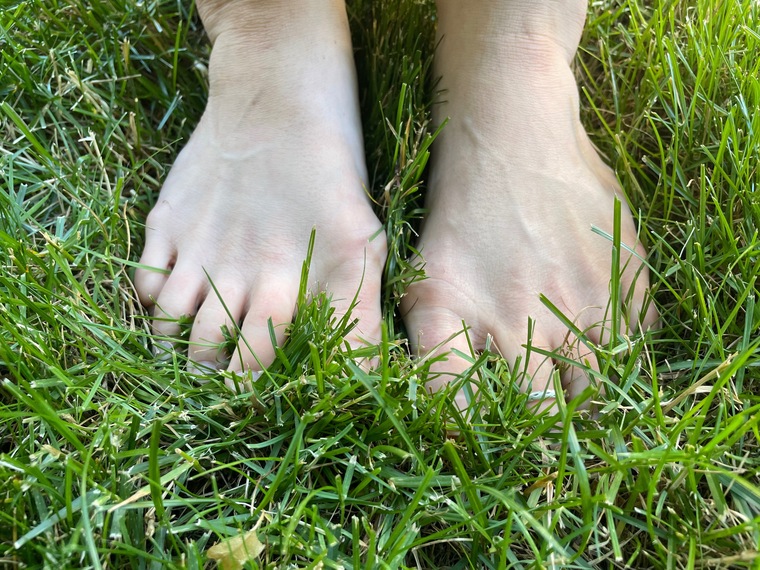WildFeet banner image