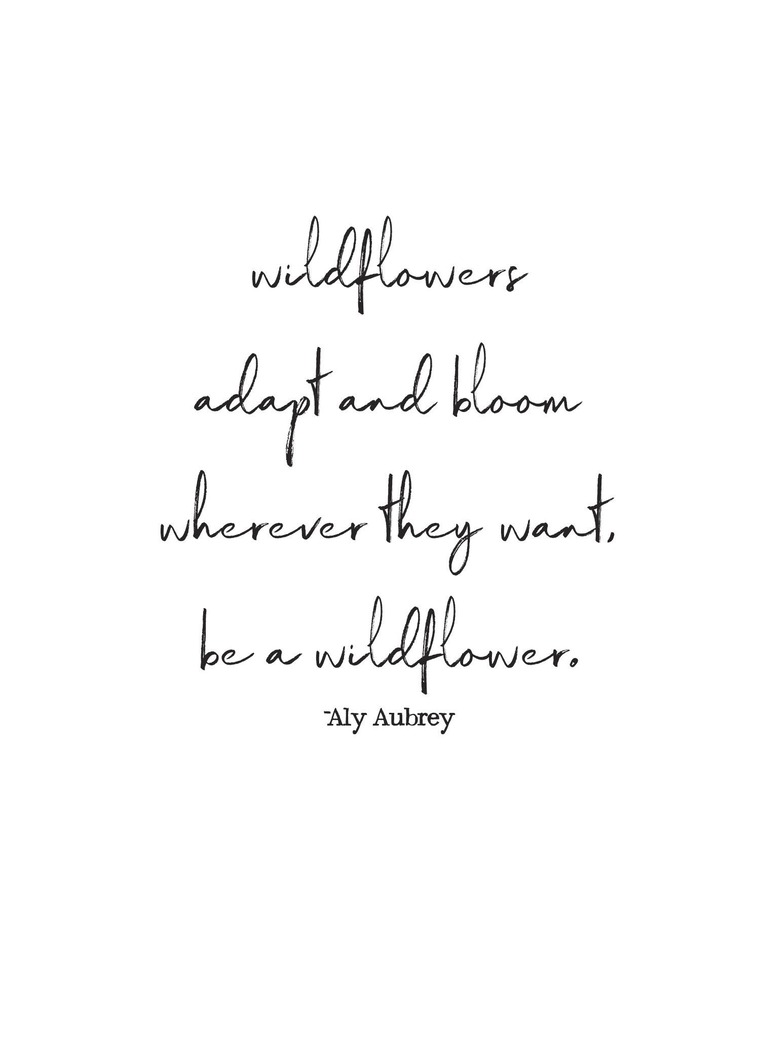 Wildflowers cover image