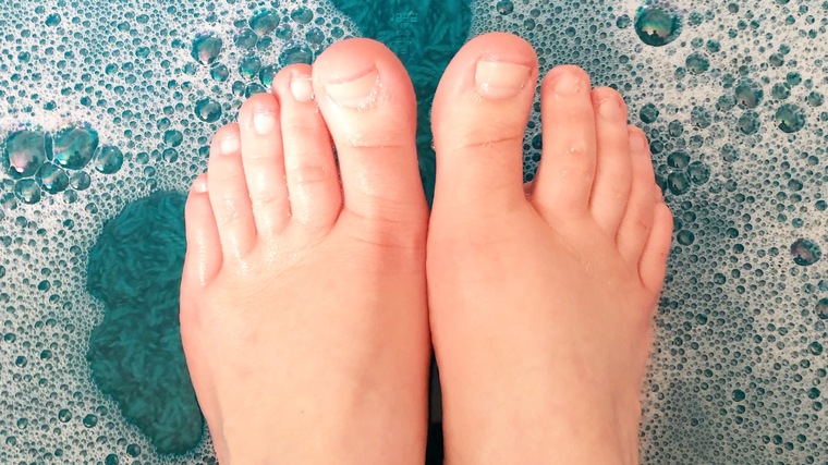 Wild Hippy Feet banner image
