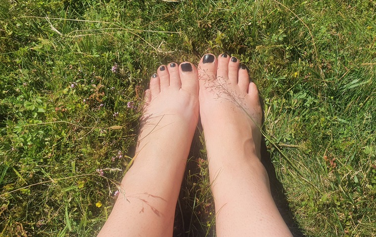 WildWitchyfeet banner image