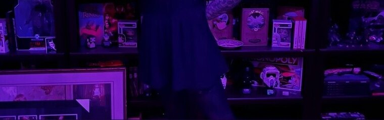 Wildxswitch banner image