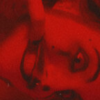 Wilky avatar