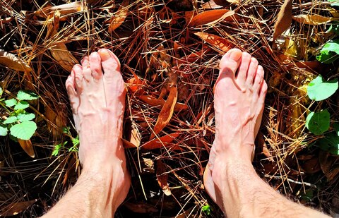 WILL.I.AM_FEET cover image