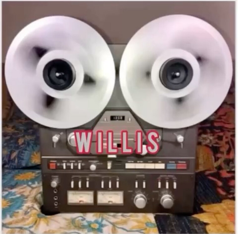 Willis Deqfedt cover image