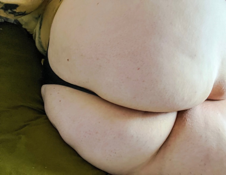 willow cover image