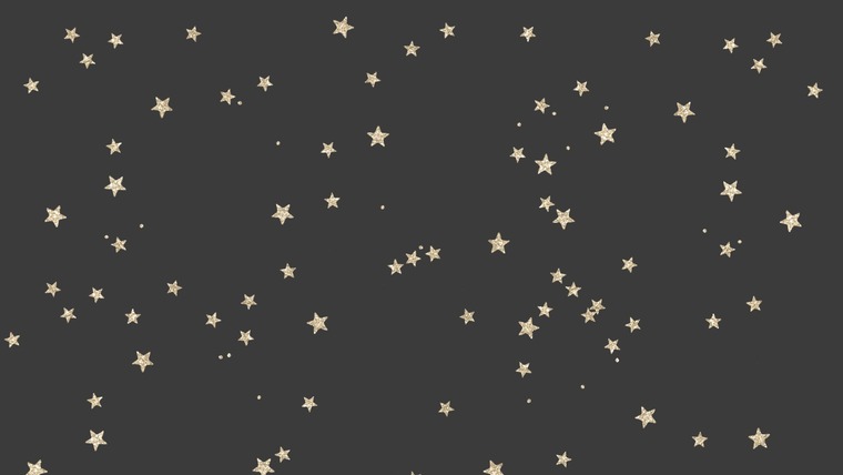Willow cover image