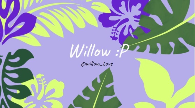 willow cover image