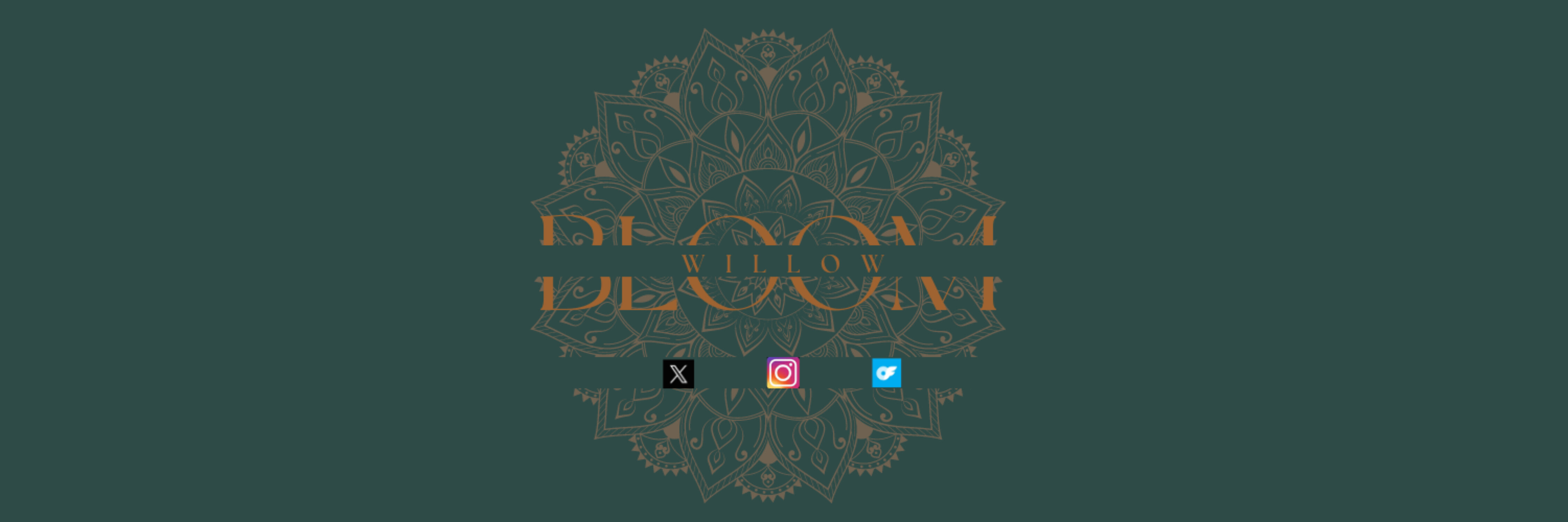 Willow Bloom ♡ banner image