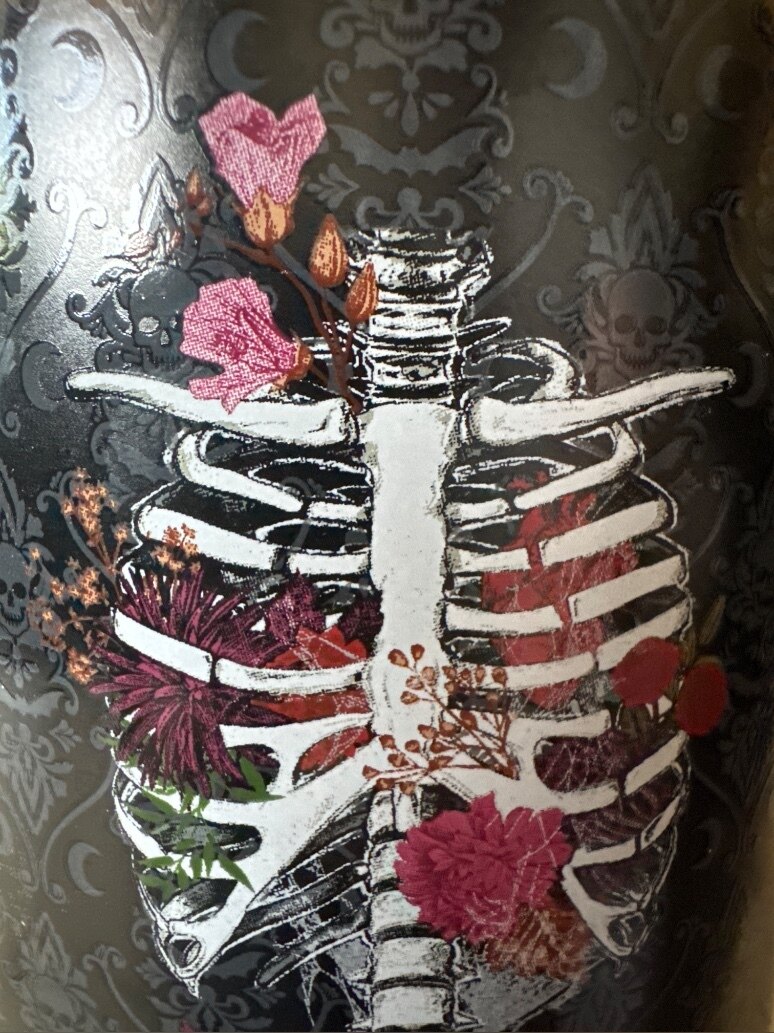 Willow Ember banner image