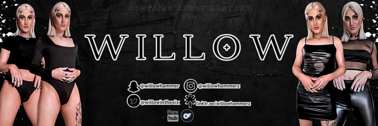 W I L L O W cover image