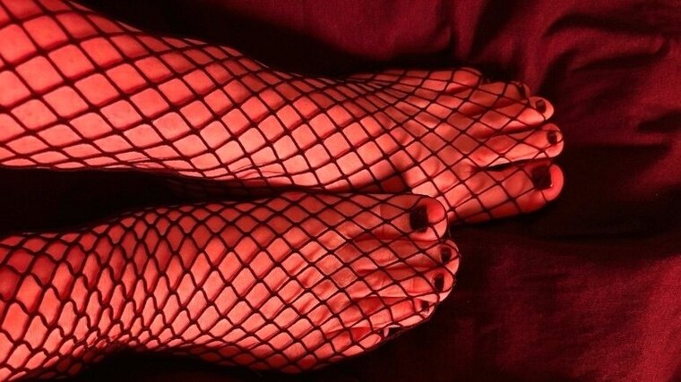 Willow cover image