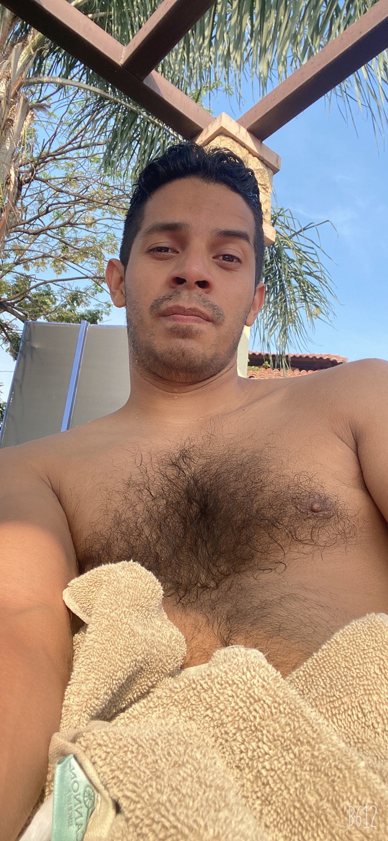 Wilmer cover image