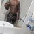 Christian wilford avatar
