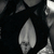 Wine Foxy avatar