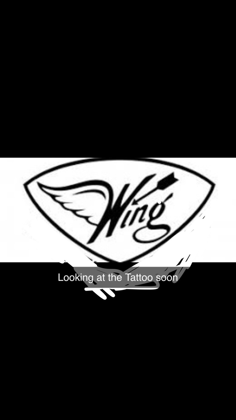 WingZ90 cover image