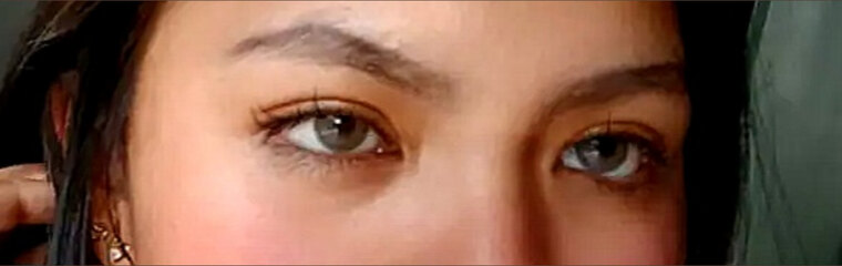 Winslet cover image