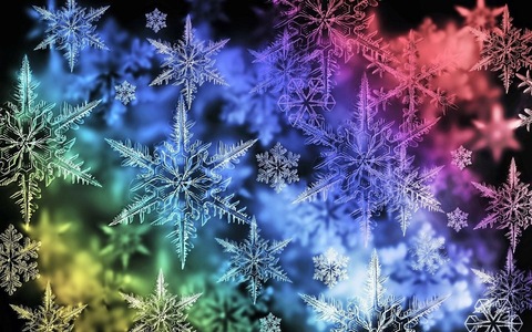 Winter cover image