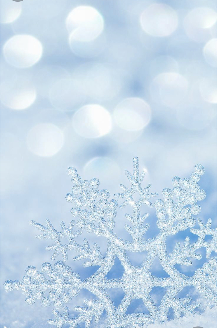Winter Baby cover image