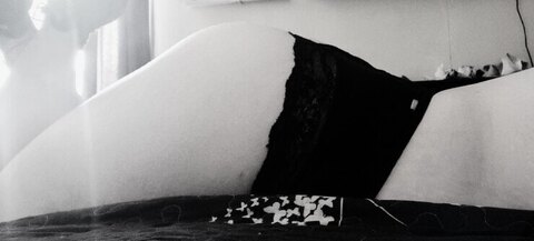Lily Winters cover image
