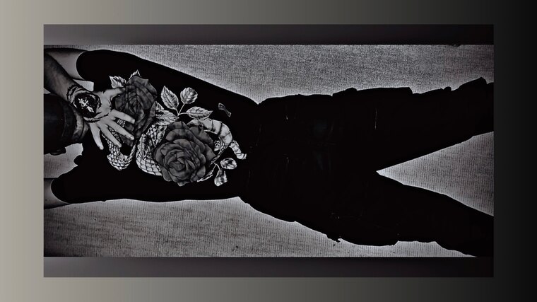 WireShadow banner image