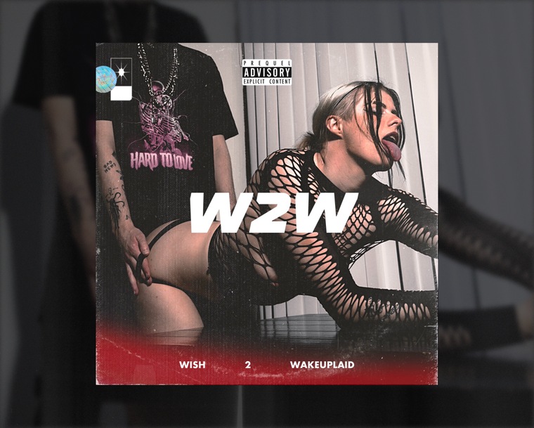 Wish2wakeuplaid cover image