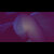 N&T avatar