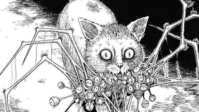 ur fav plus sized witch banner image