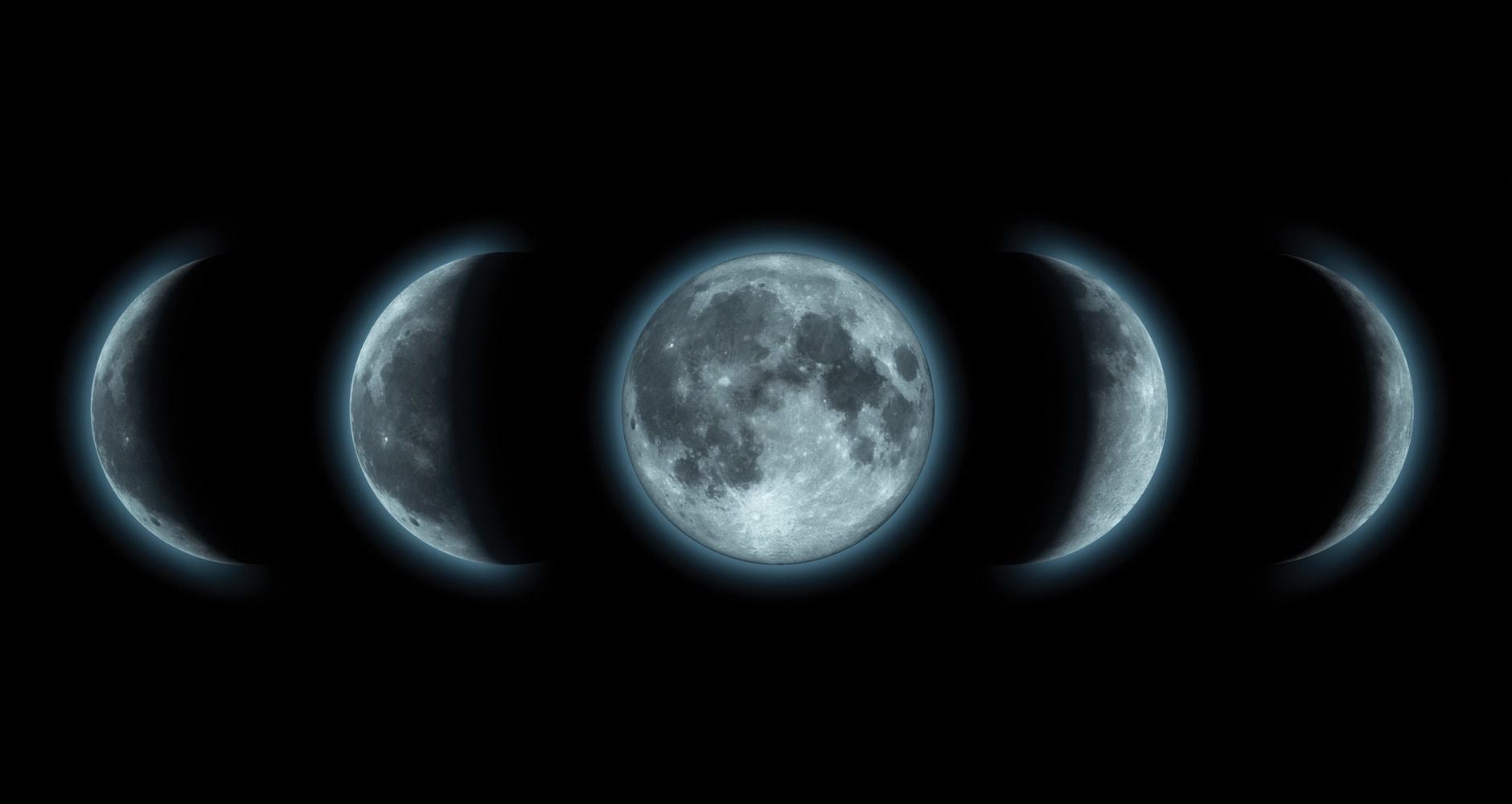 Darlingside banner image