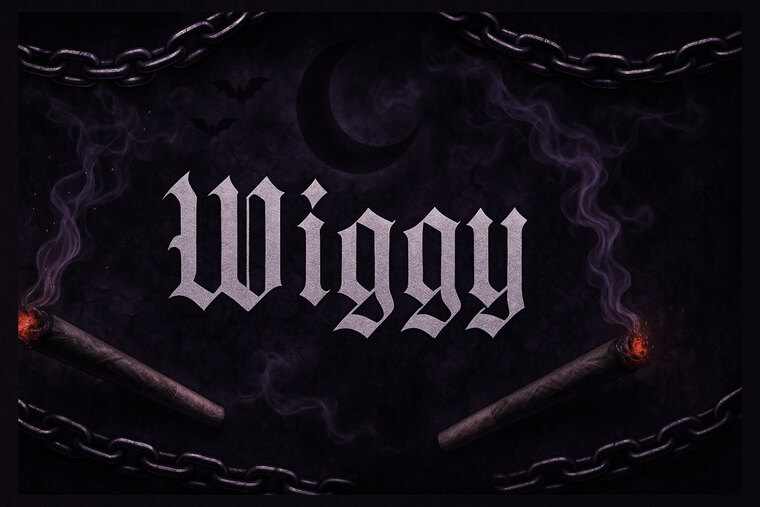 𝙒𝙄𝙂𝙂𝙔 • ᴛʜᴇ ʙʙᴡ ꜱᴜᴄᴄᴜʙᴜꜱ • cover image