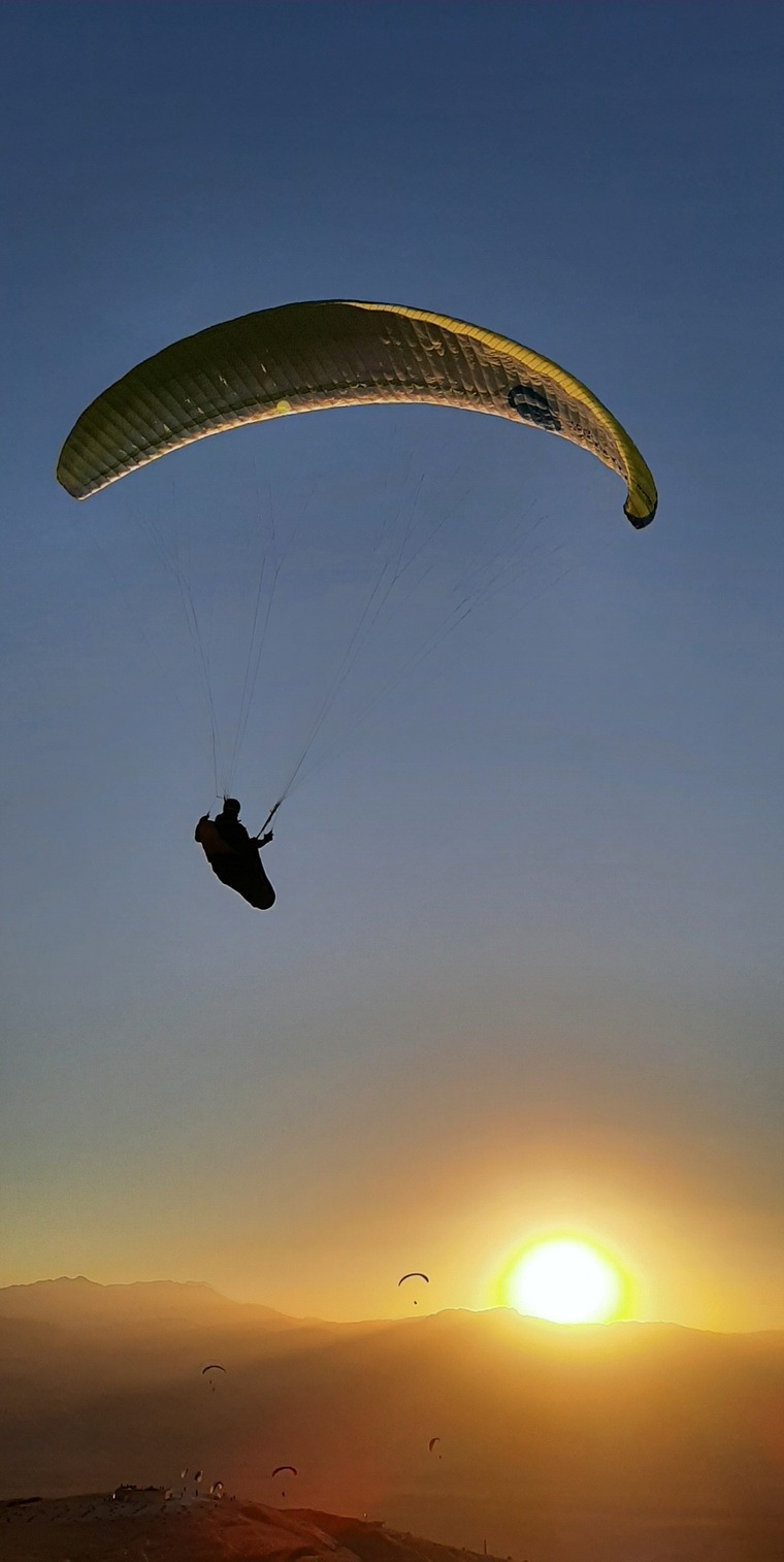 With Bear in the Air cover image