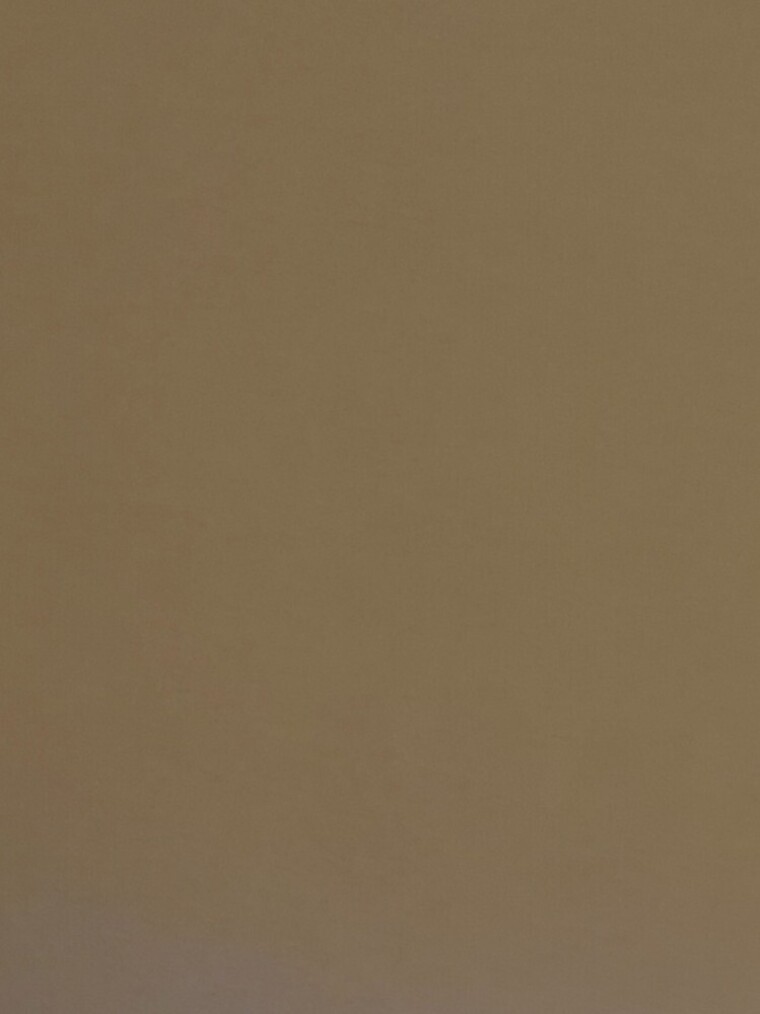 Withadick cover image