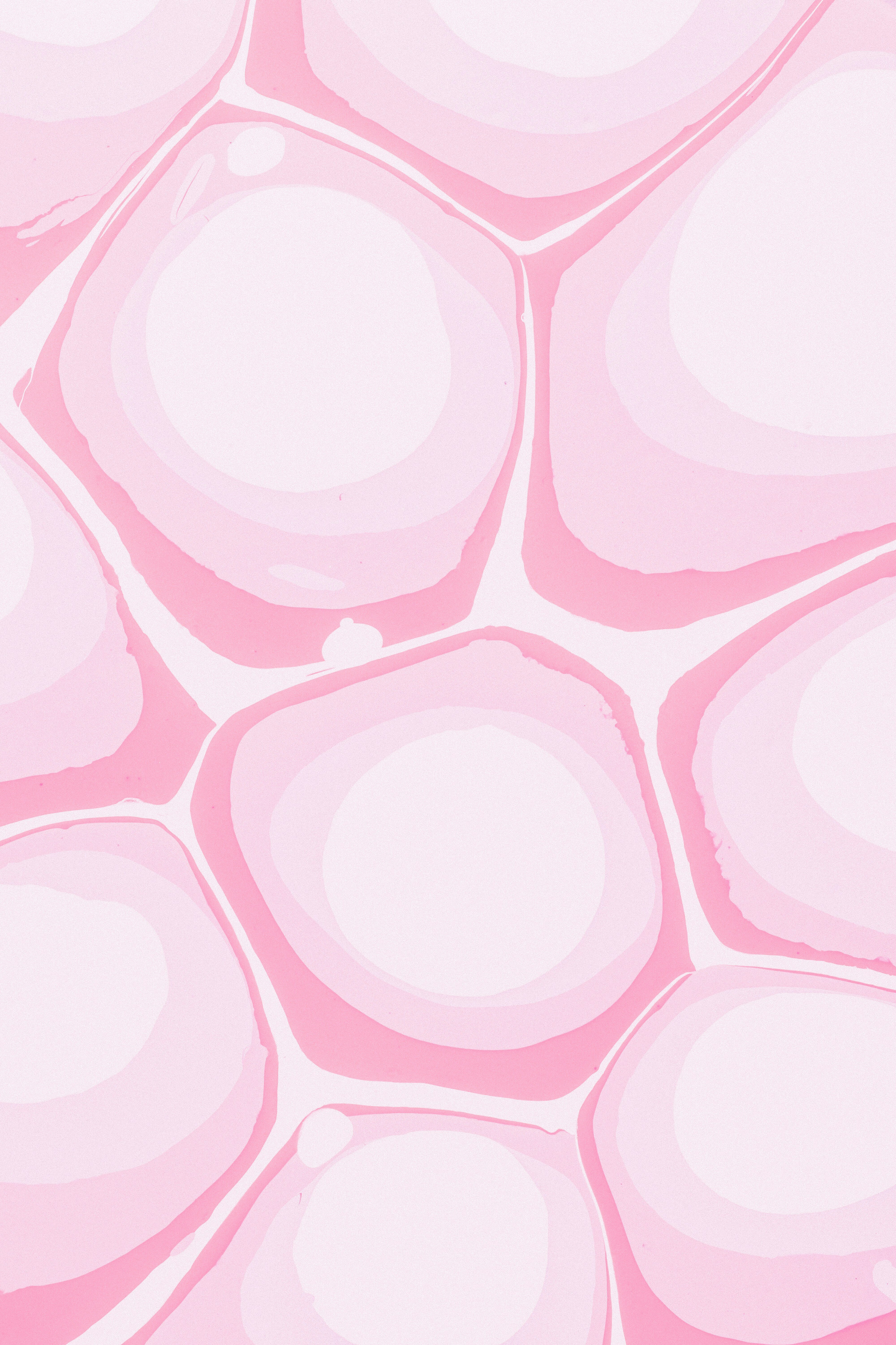 Wittlisthoneybee banner image