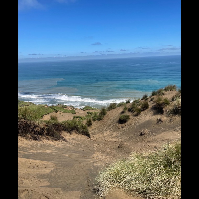 TwoWhiteMāori cover image