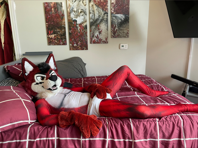 WolfEzo banner image