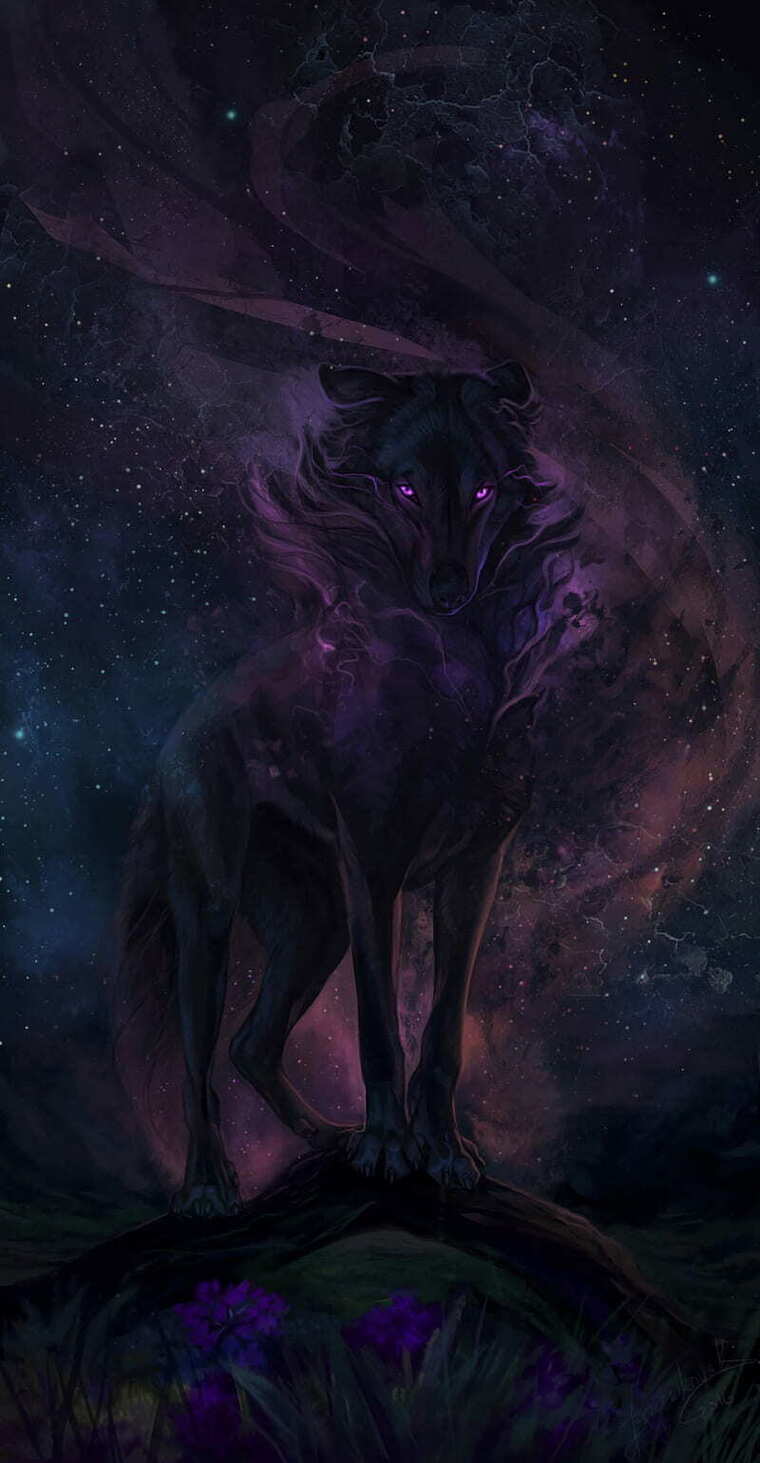 WolfCub297 banner image