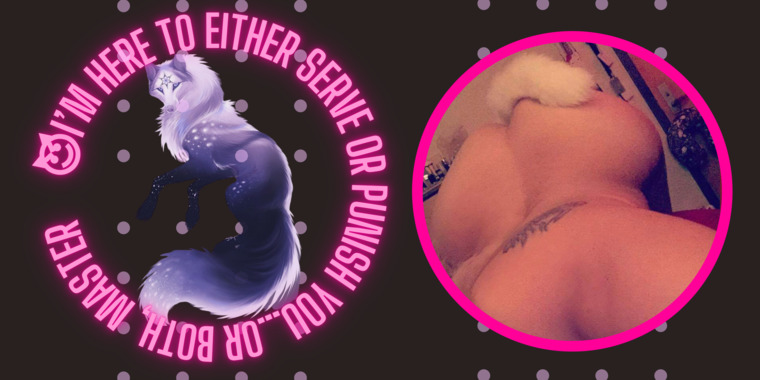 WolfieKat banner image