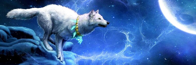 Wolfire1 cover image