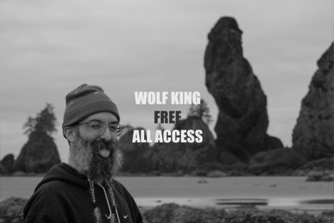 Wolf King cover image