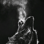 Wolfman_nomad avatar